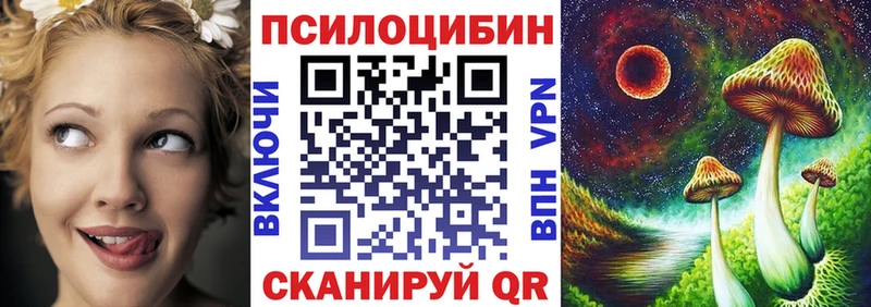 купить цена Гулькевичи Галлюциногенные грибы Psilocybine cubensis